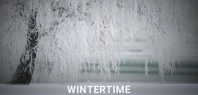 Playlist artwork WINTERTIME